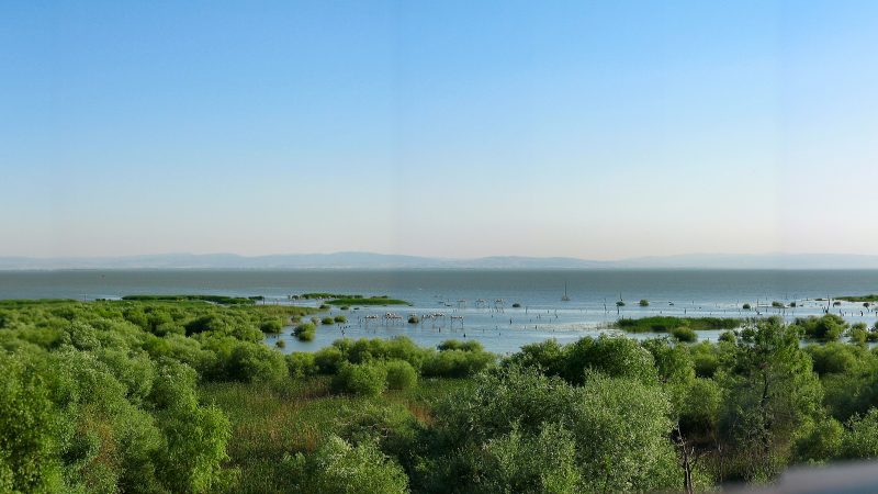 Kuş Cenneti Milli Parkı: Balıkesir’in Kanatlı Misafirlerine Ev Sahipliği Yapan Doğa Harikası