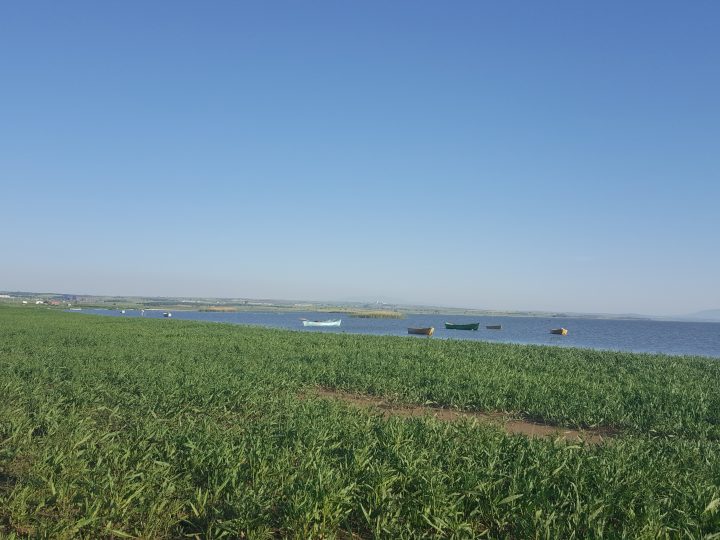 Manyas: Göl Kıyısında Sakin Bir Doğa Molası