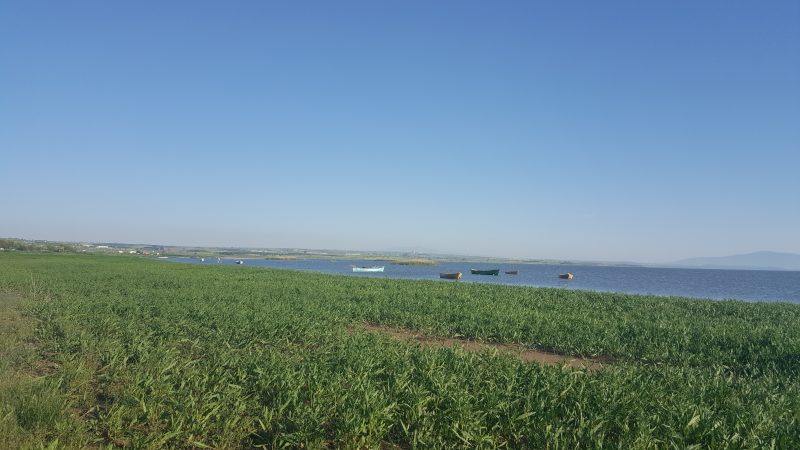 Manyas: Göl Kıyısında Sakin Bir Doğa Molası