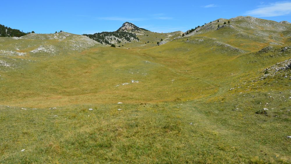 Odayeri Yaylası Düzce