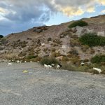 Sarımsaklı Plajı