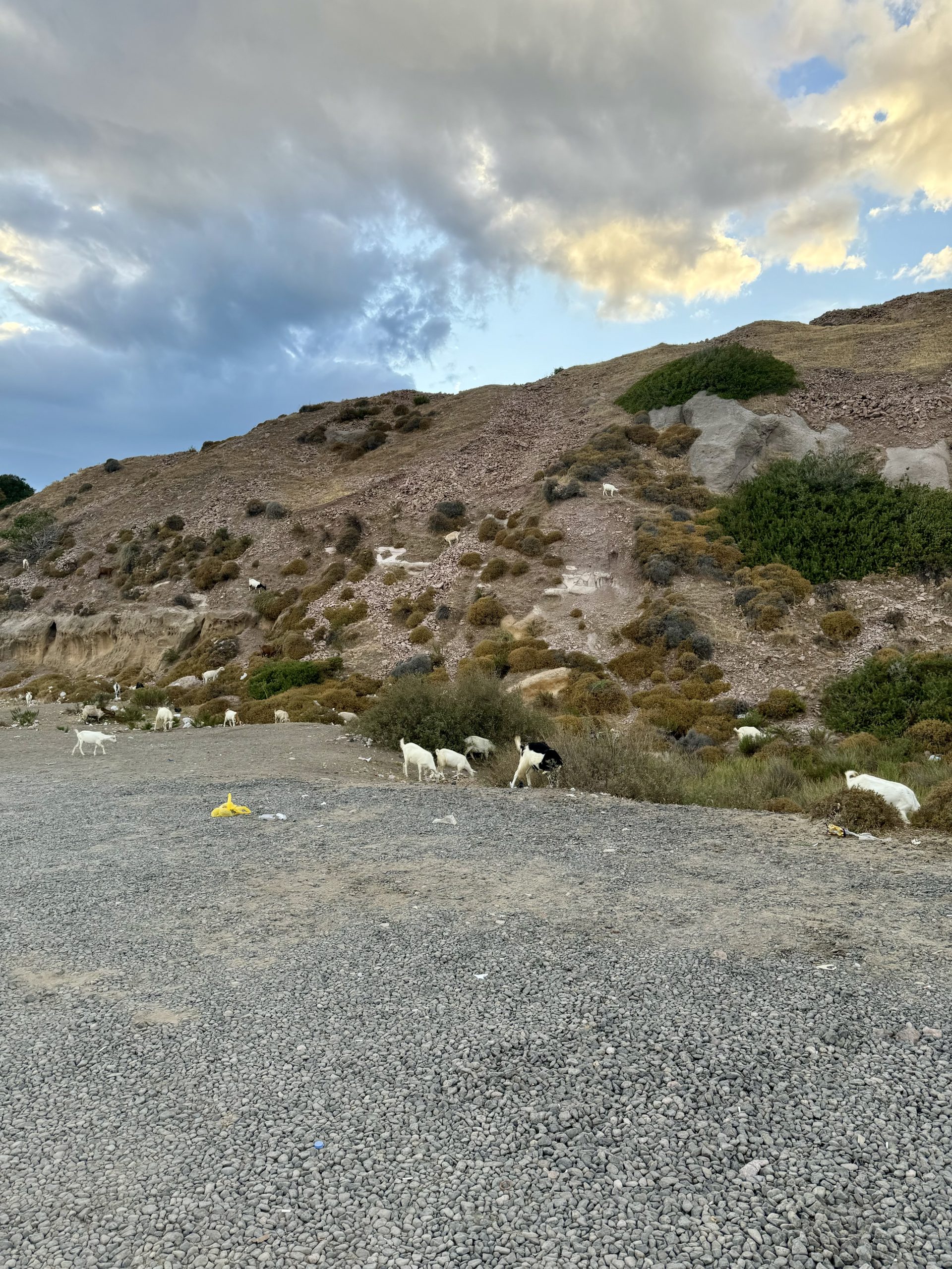 Sarımsaklı Plajı’nın kumsalı ve denizi