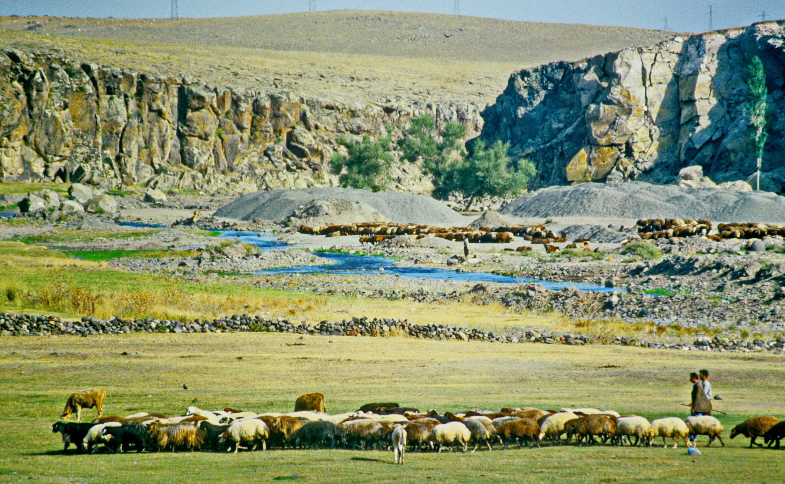 Savaşır Köyü Yaylaları
