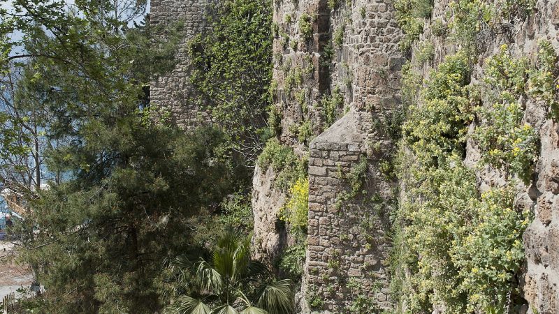 Side Turizm ve Seyahat Kütüphanesi – Antalya Gezilecek Yerler