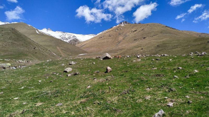 Sınekli Yaylası