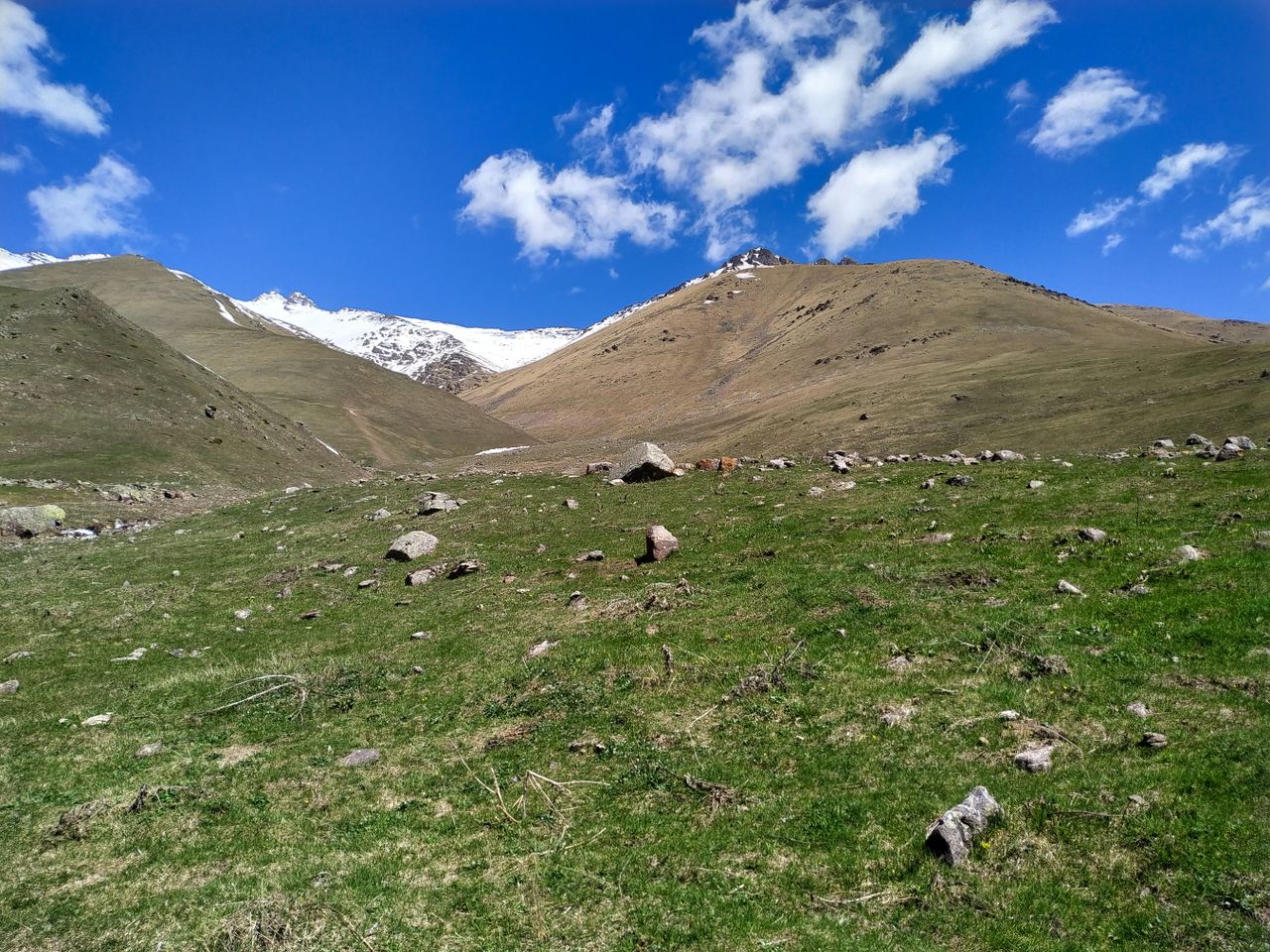 Sınekli Yaylası Düzce
