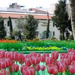 İslam Bilim ve Teknoloji Tarihi Müzesi