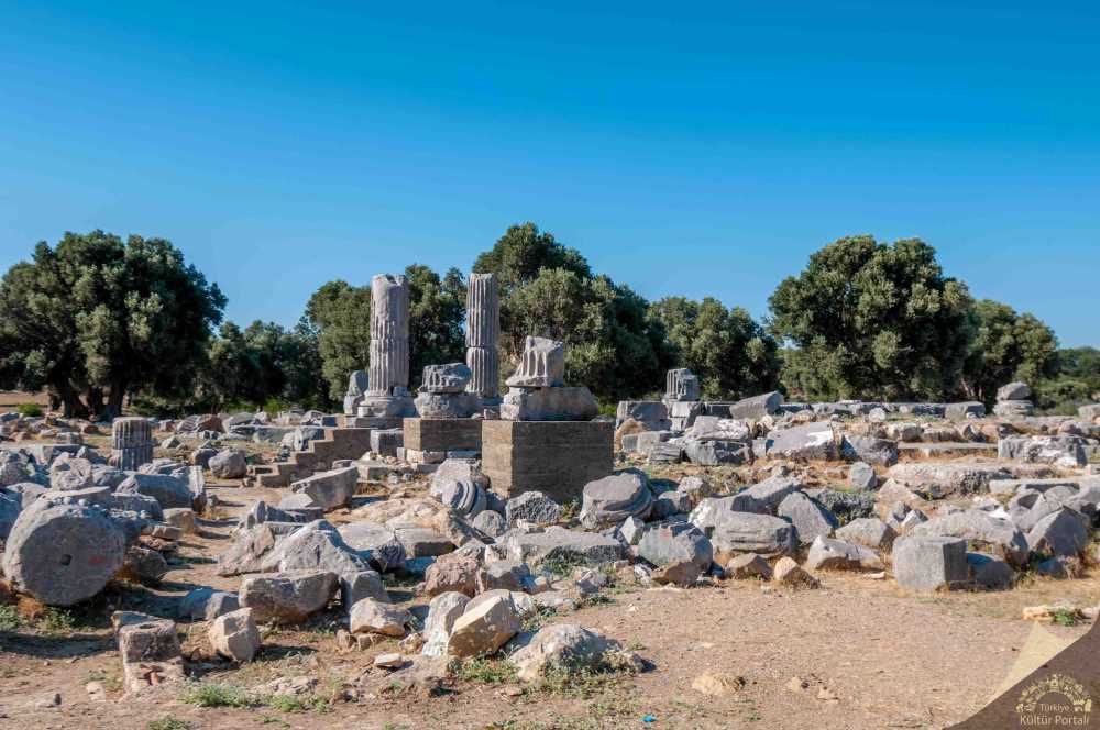 Teos Antik Kenti: Dionysos'a Adanan Kent
