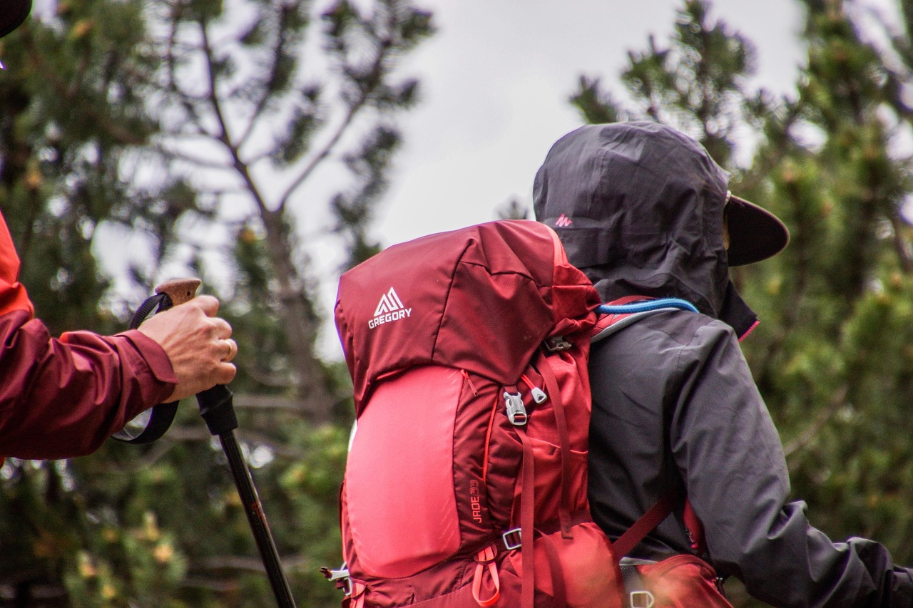Trekking ekipman canta