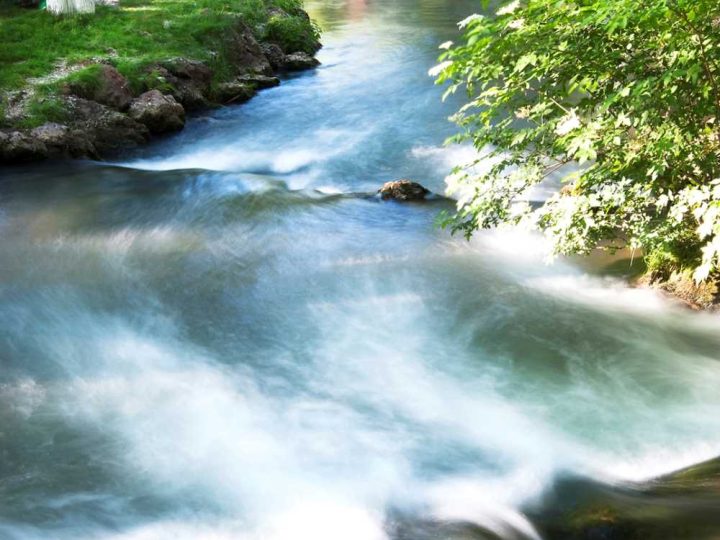 Türbin Mesire Yeri: Bozüyük’ün Yeşil Dinlenme Alanı