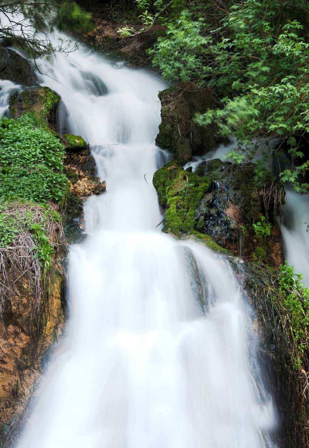 Türbin Mesire Yeri doğa