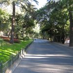 Yıldız Parkı