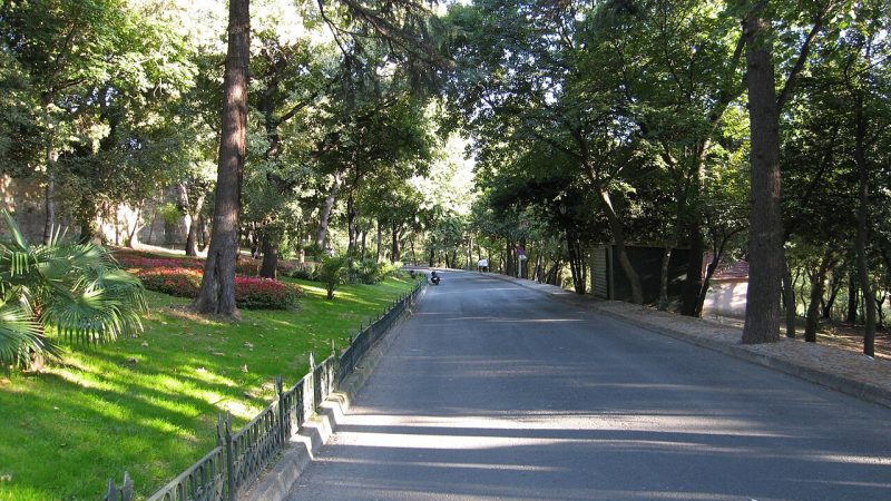 Yıldız Parkı: Boğaz Manzaralı Tarihî Koru