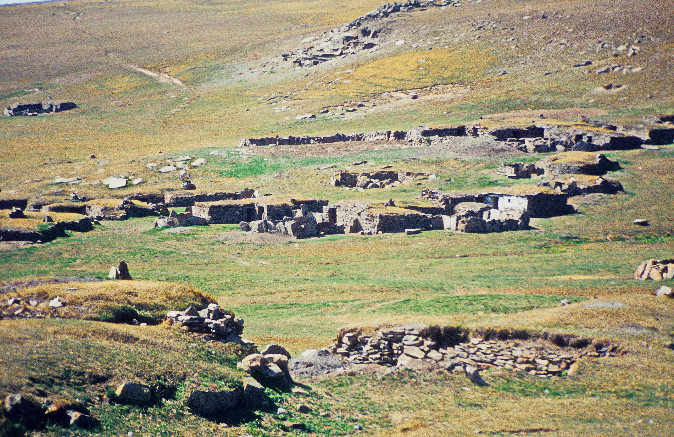 Yalnızçam Yaylaları