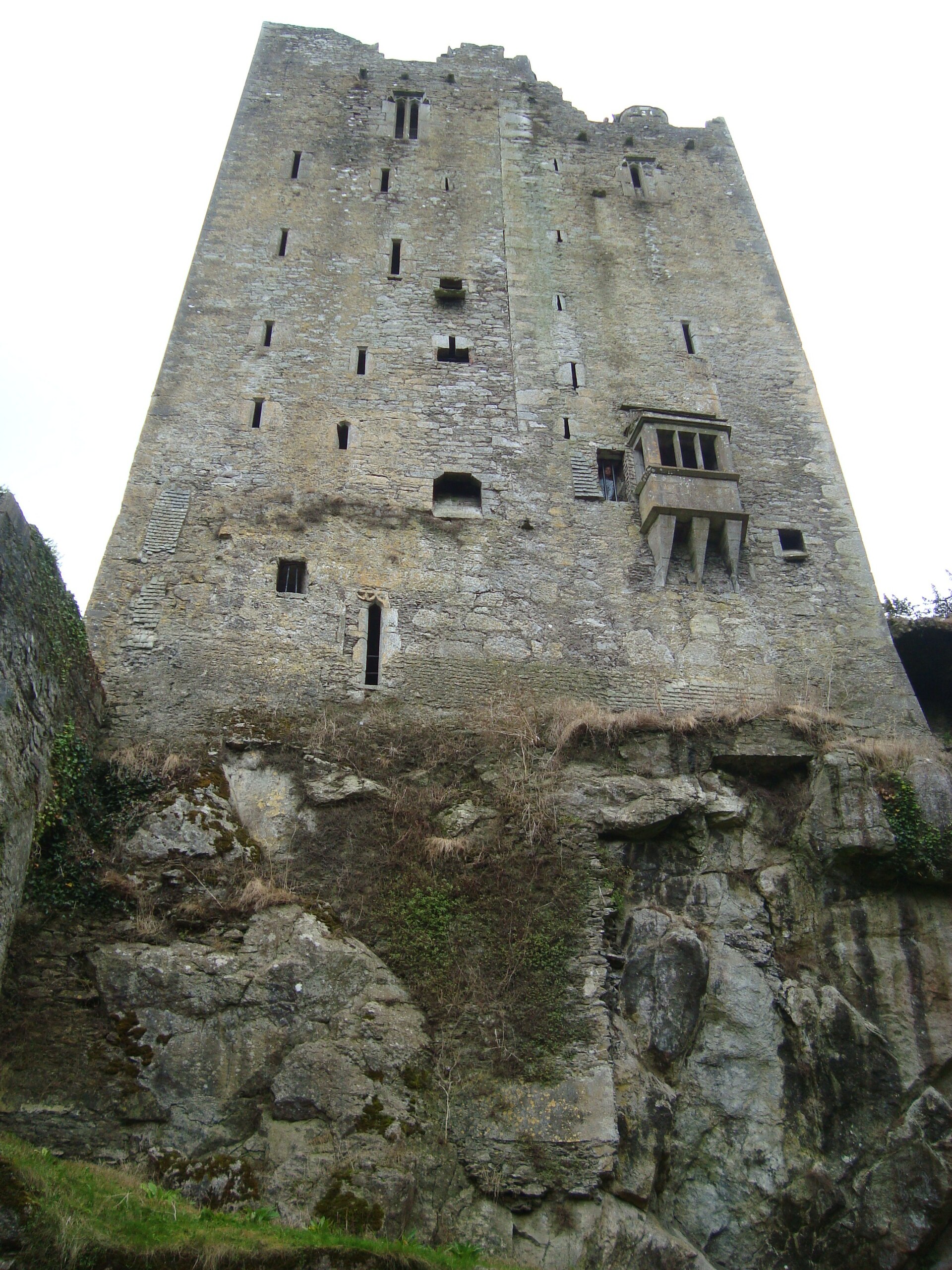 Blarney Kalesi genel görünüm