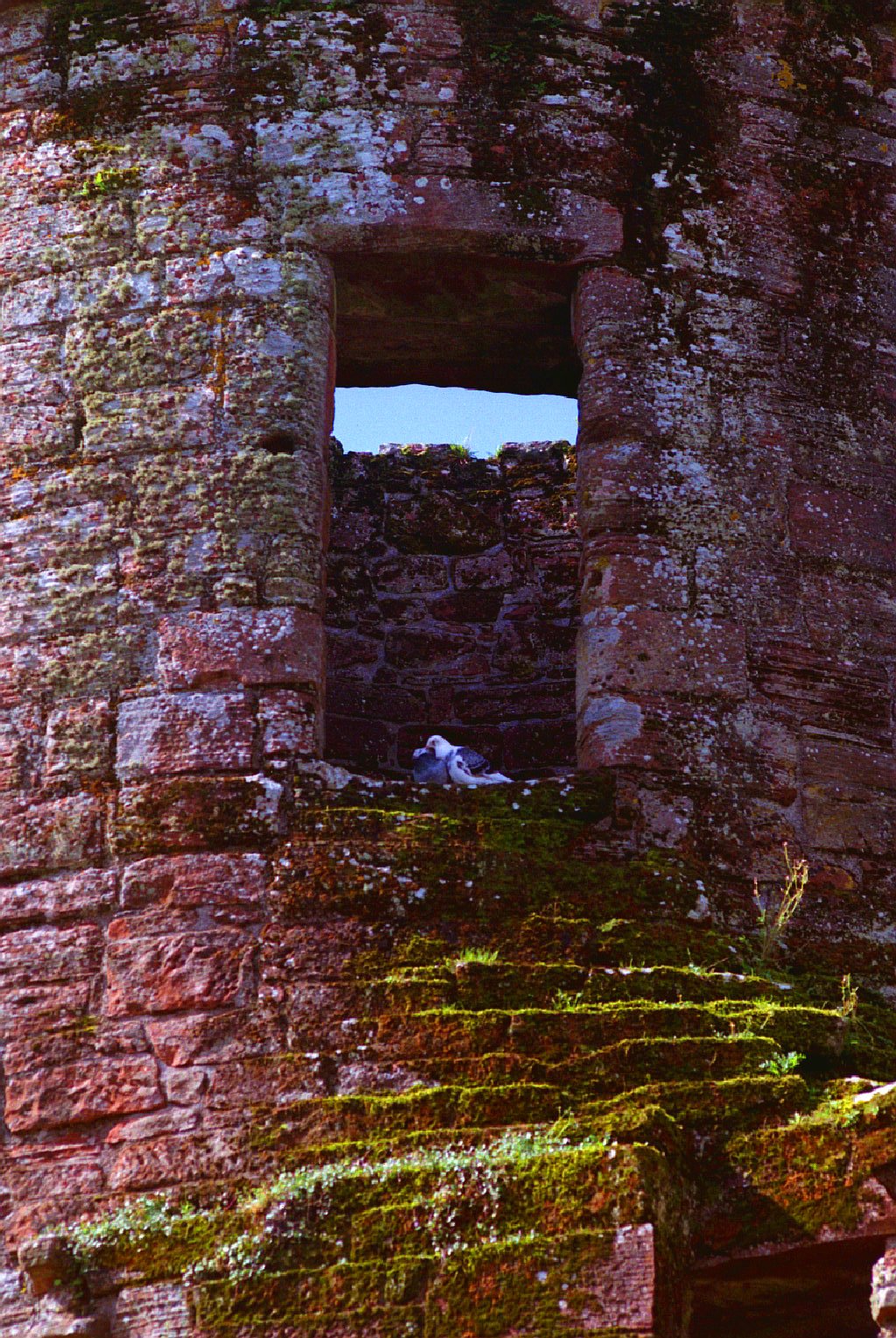 Caerlaverock Kalesi manzara