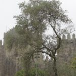 Guimarães Kalesi surları