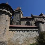 Kreuzenstein Kalesi'ne giden orman yolu