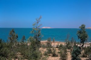 Câber Kalesi ve Esad Gölü