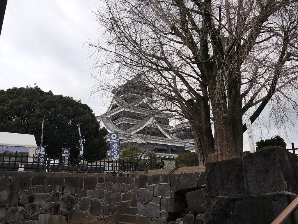 Kumamoto Kalesi çatılar
